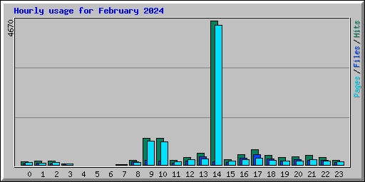 Hourly usage for February 2024